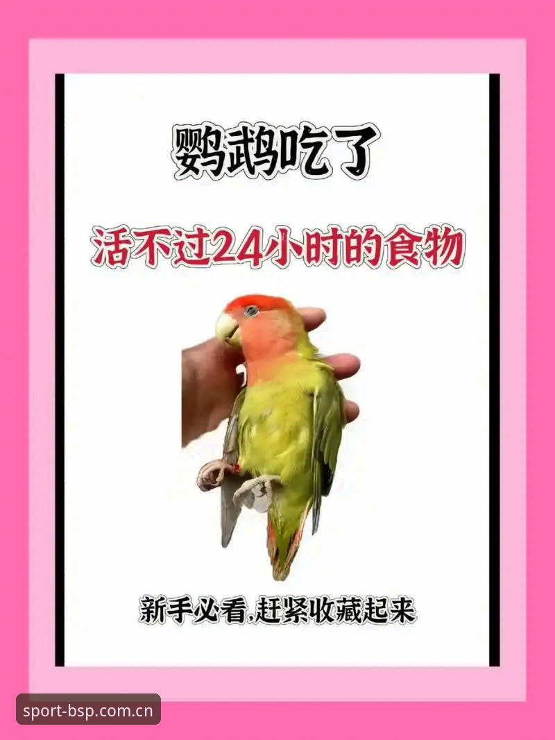 新手必看!BSports体育投注平台使用技巧实战经验分享——从入门到高手的完整指南
